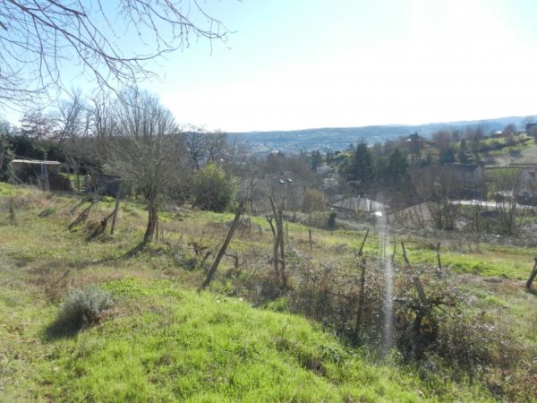 HAUTEUR BRIVE – MAISON AVEC JARDIN – Image 5