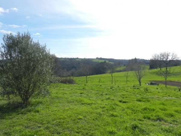 SAINTE FEREOLE, GRANDE MAISON AVEC TERRAIN – Image 6