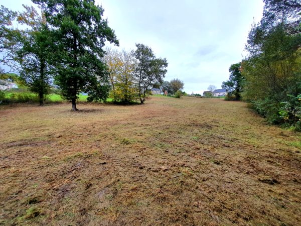 Terrain de 2.600 m2 – Image 3