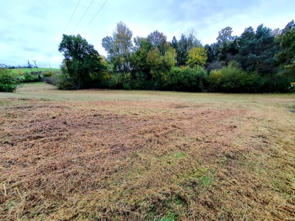Terrain de 2.600 m2 – Image 4
