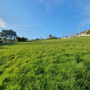 Brive, Terrain de 752 m2 Constructible