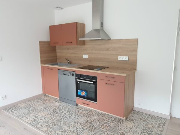 Malemort, T2 avec grande terrasse et stationnement – Image 4