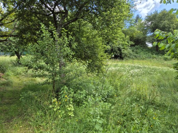 Brive, terrain de 2500 m² – Image 2