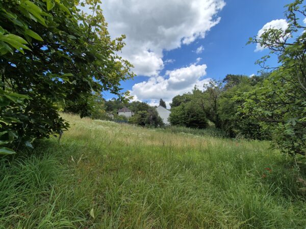 Brive, terrain de 2500 m²