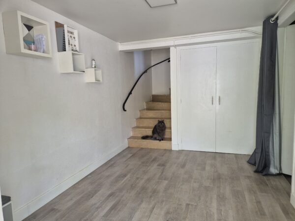 Hauteurs Brive, maison en pierres avec jardin – Image 2