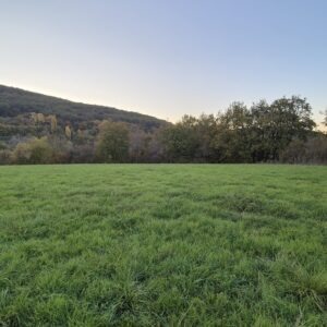 Chasteaux, terrain de 2400 m2