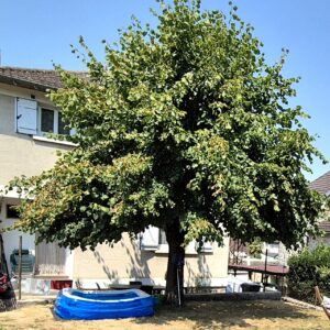 Brive, maison T4 avec jardin