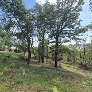 Malemort sur les hauteurs, terrain de 1400 m2
